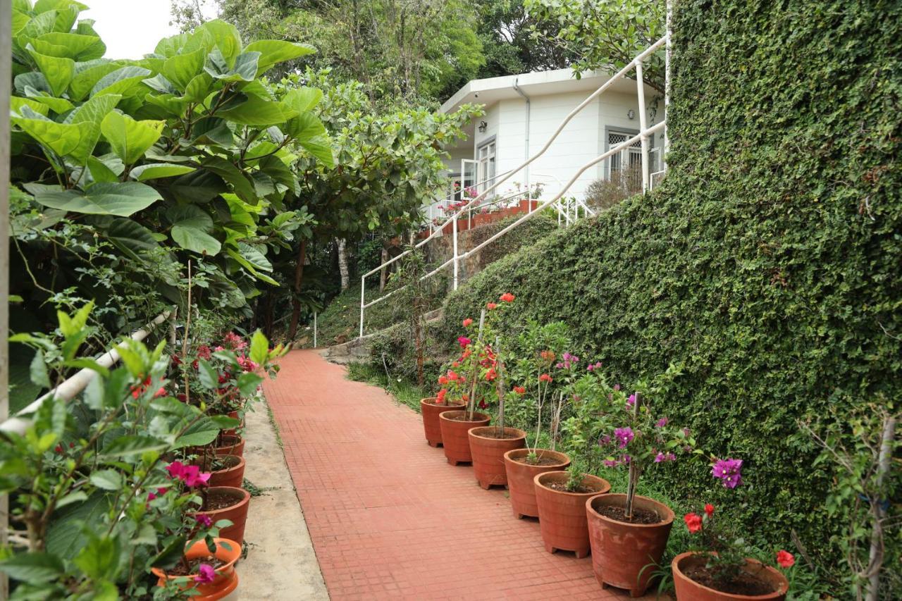 Copperhill- A Luxury Homestay Мадикери Экстерьер фото